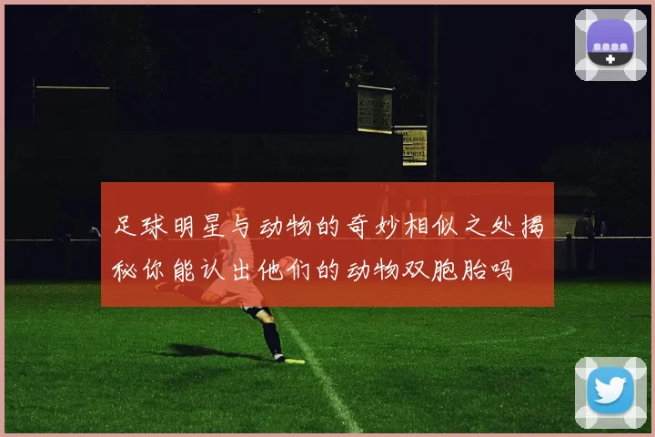 足球明星与动物的奇妙相似之处揭秘你能认出他们的动物双胞胎吗