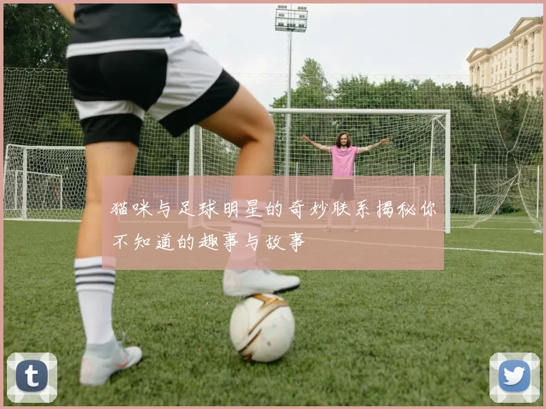 猫咪与足球明星的奇妙联系揭秘你不知道的趣事与故事