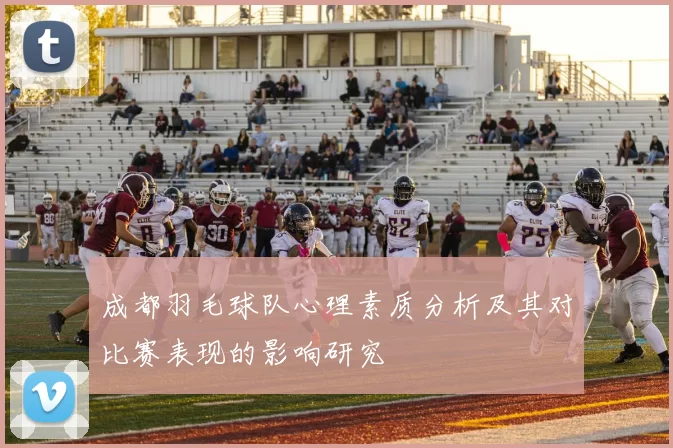 成都羽毛球队心理素质分析及其对比赛表现的影响研究