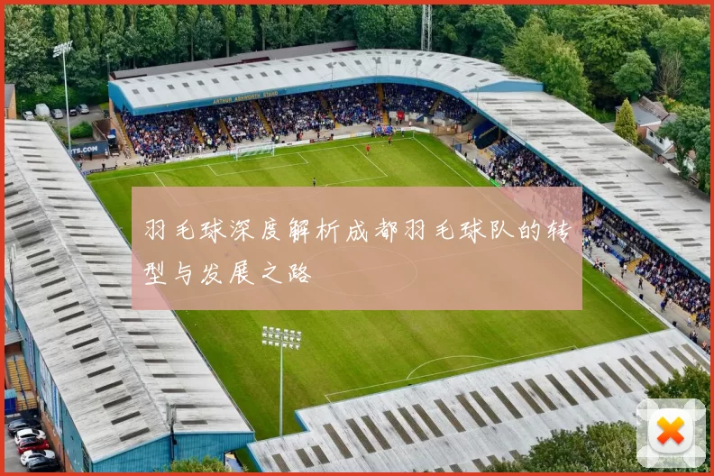 羽毛球深度解析成都羽毛球队的转型与发展之路