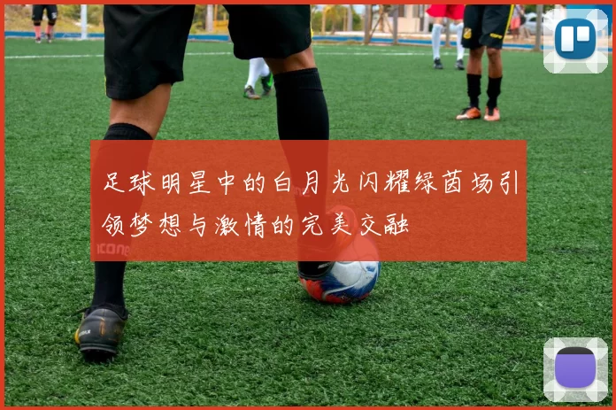 足球明星中的白月光闪耀绿茵场引领梦想与激情的完美交融