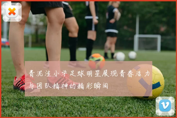 青泥洼小学足球明星展现青春活力与团队精神的精彩瞬间