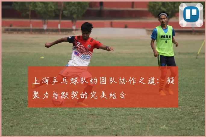 上海乒乓球队的团队协作之道：凝聚力与默契的完美结合