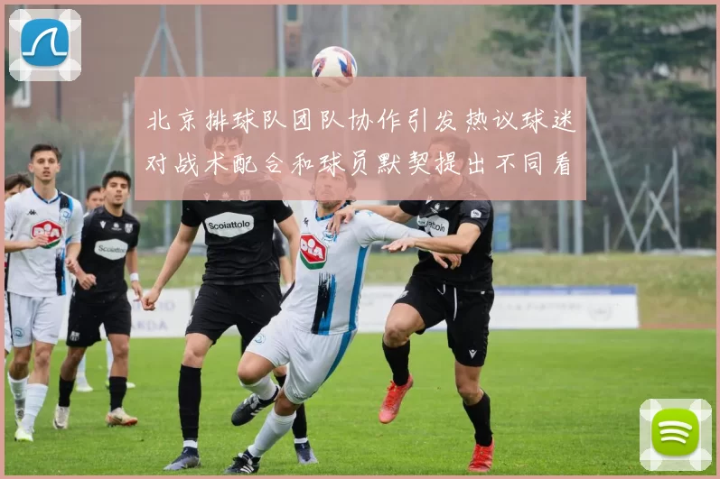 北京排球队团队协作引发热议球迷对战术配合和球员默契提出不同看法