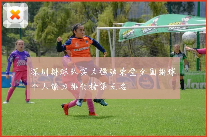 深圳排球队实力强劲荣登全国排球个人能力排行榜第五名