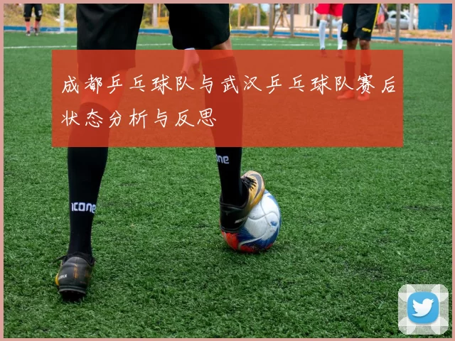 成都乒乓球队与武汉乒乓球队赛后状态分析与反思