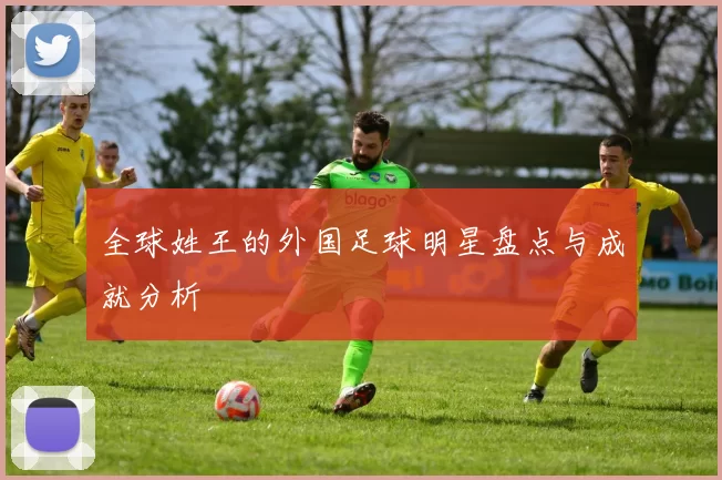 全球姓王的外国足球明星盘点与成就分析