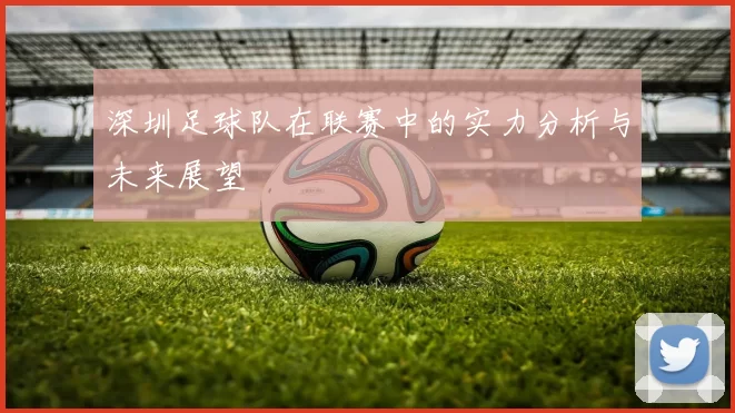 深圳足球队在联赛中的实力分析与未来展望