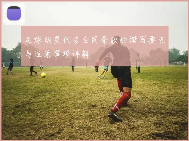 足球明星代言合同条款的撰写要点与注意事项详解