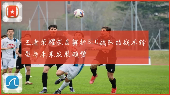 王者荣耀深度解析BLG战队的战术转型与未来发展趋势