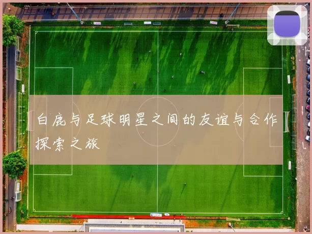 白鹿与足球明星之间的友谊与合作探索之旅