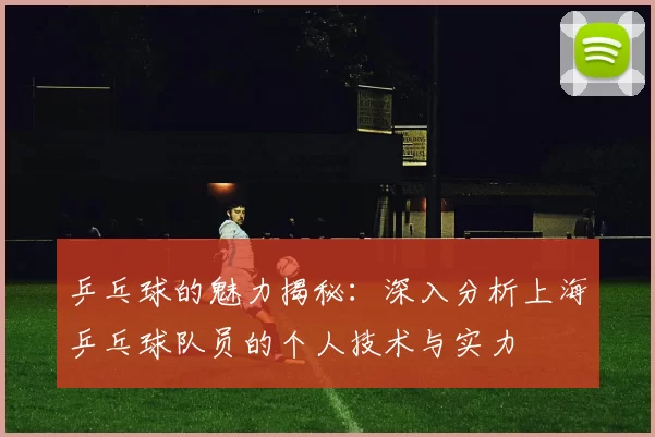 乒乓球的魅力揭秘：深入分析上海乒乓球队员的个人技术与实力
