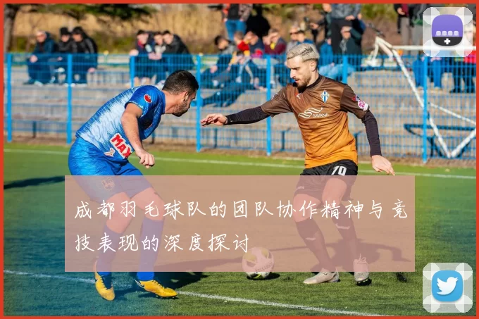 成都羽毛球队的团队协作精神与竞技表现的深度探讨