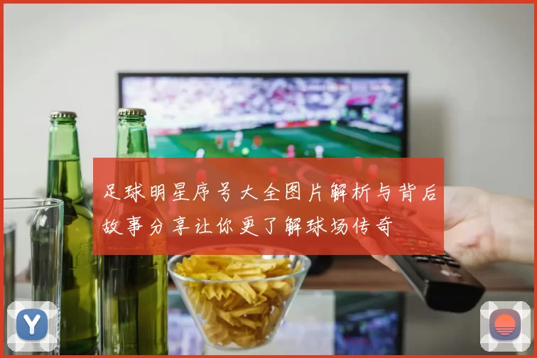 足球明星序号大全图片解析与背后故事分享让你更了解球场传奇