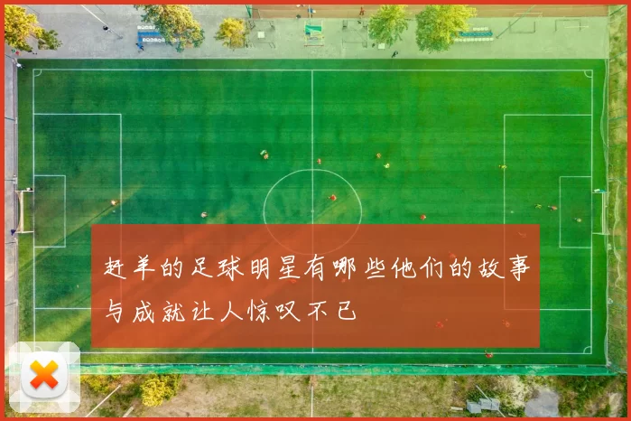 赶羊的足球明星有哪些他们的故事与成就让人惊叹不已