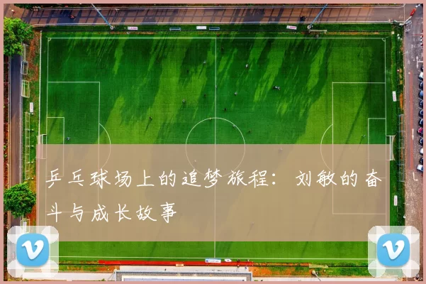 乒乓球场上的追梦旅程：刘敏的奋斗与成长故事