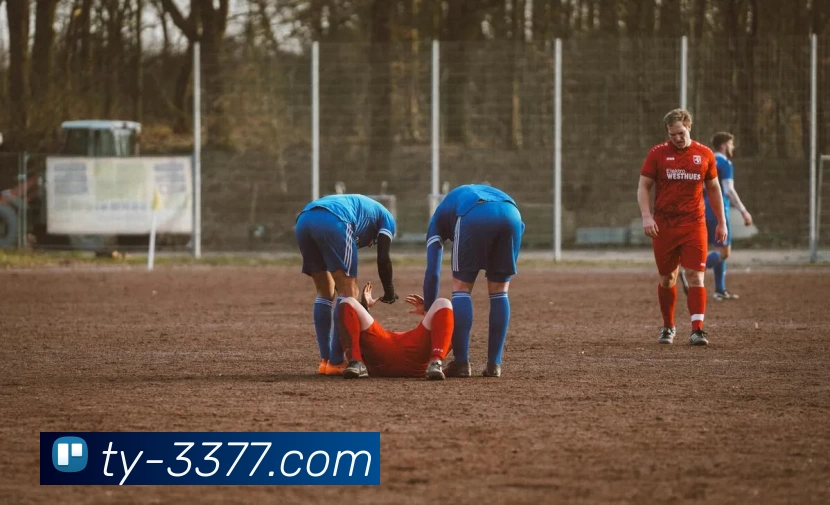 多媒体互动体验